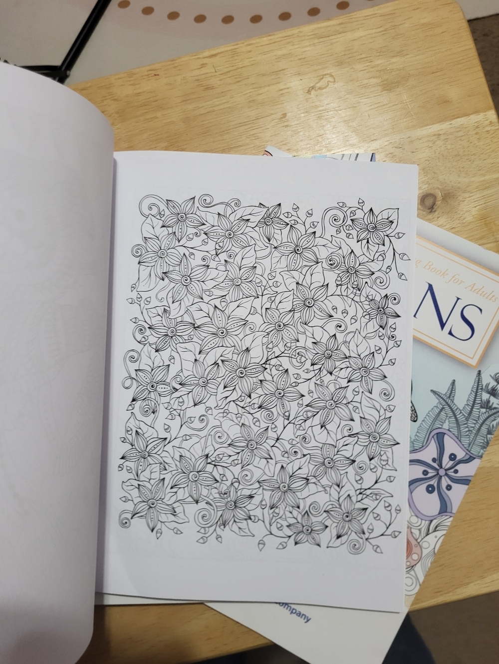 Adult Stress Relieving Coloring Book with Colored Pencils - Picture 7 of 9